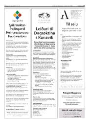 Síða 27