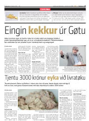 Síða 15