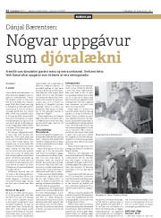 Síða 22