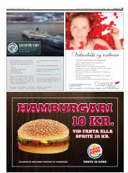 Síða 29