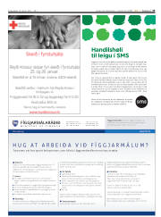 Síða 33