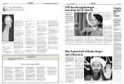 Síða 17