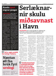 Síða 4