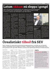 Síða 7
