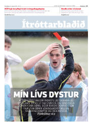 Síða 11