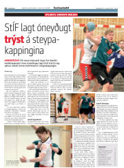 Síða 14