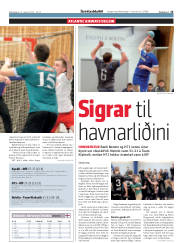 Síða 15
