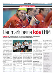Síða 17