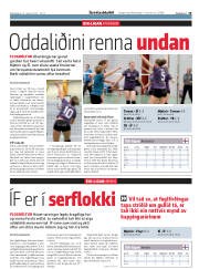 Síða 19