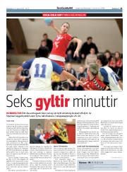 Síða 25
