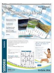 Síða 28