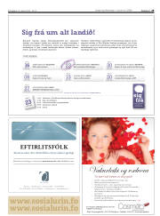 Síða 29