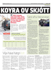 Síða 13