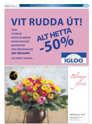 Síða 55