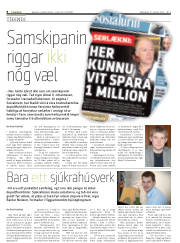 Síða 8