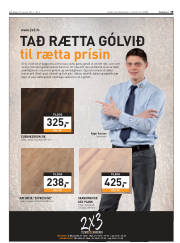 Síða 19