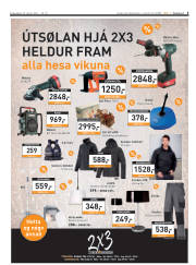 Síða 3