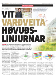 Síða 8
