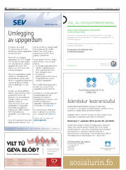 Síða 26
