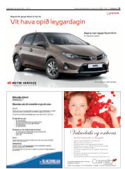 Síða 27