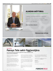 Síða 29