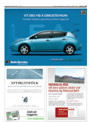 Síða 31