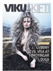 Síða 41