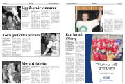 Síða 12