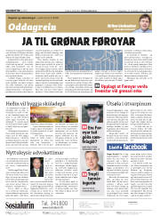 Síða 2