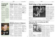 Síða 13