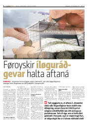 Síða 6