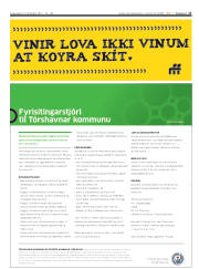 Síða 17