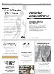 Síða 26