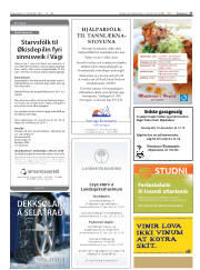 Síða 27