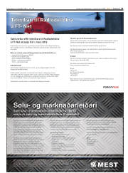 Síða 31