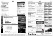 Síða 17