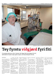 Síða 4