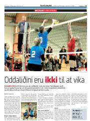 Síða 19