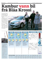 Síða 32