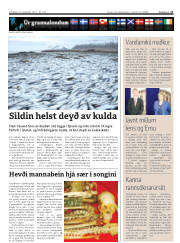 Síða 11