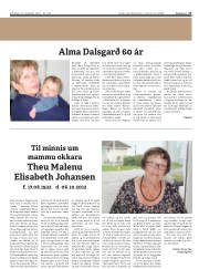 Síða 17