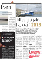 Síða 13