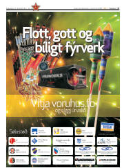 Síða 17