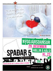 Síða 31