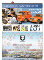 Síða 41