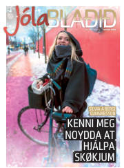 Síða 53