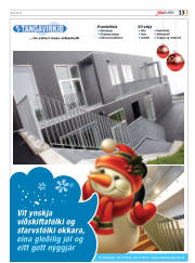 Síða 65