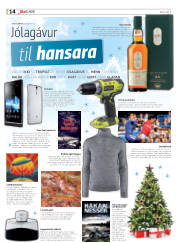Síða 66