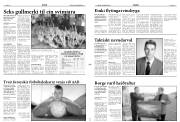Síða 11