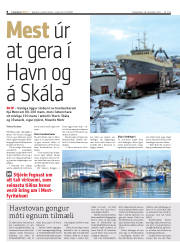 Síða 8